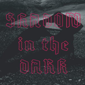 Shadow in the Dark –Limited CD edition with bonus track